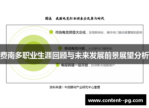 费南多职业生涯回顾与未来发展前景展望分析 费南多职业生涯回顾与未来发展前景展望分析